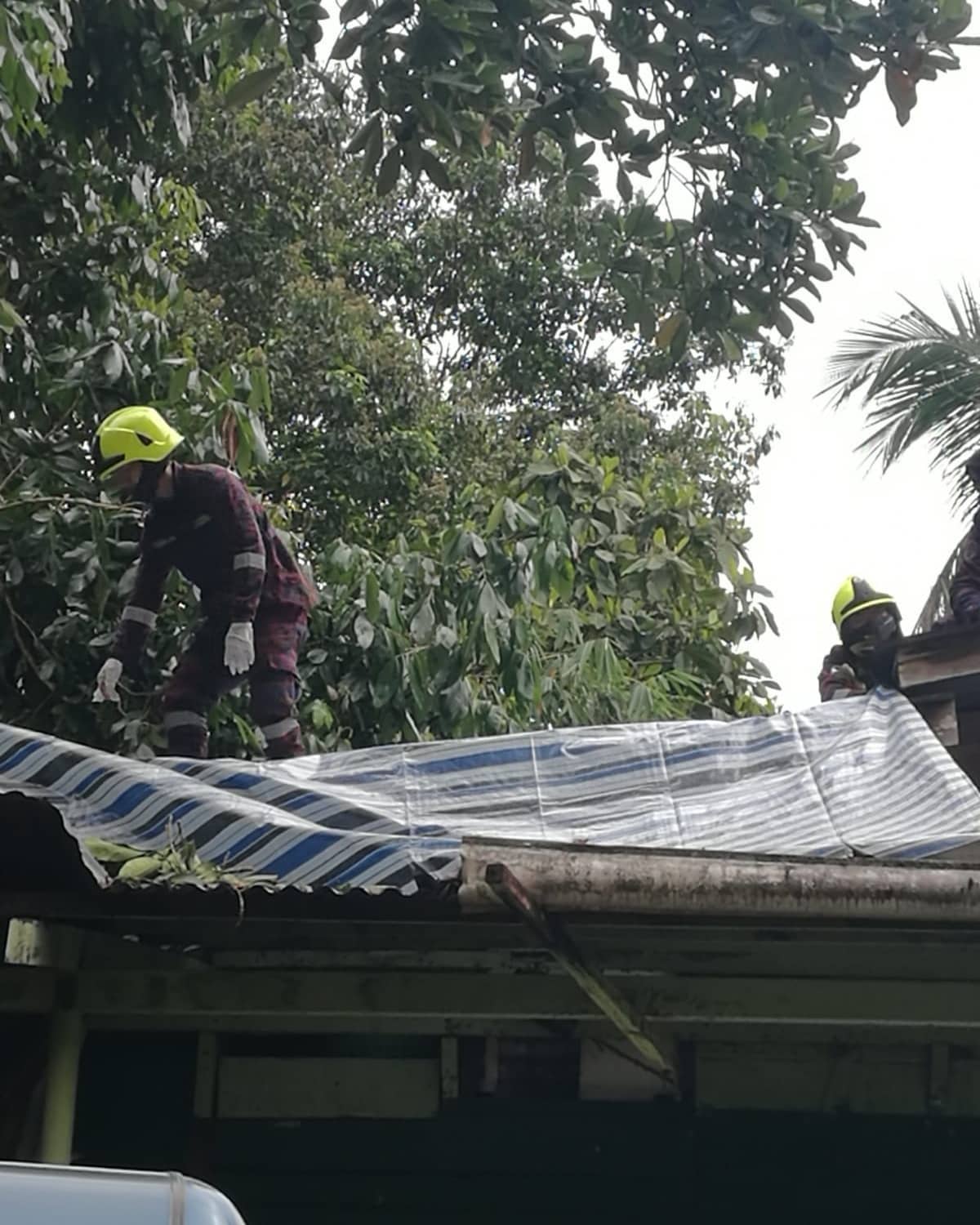 PANGGILAN POKOK TUMBANG YANG MELIBATKAN ATAP RUMAH 2.jpg